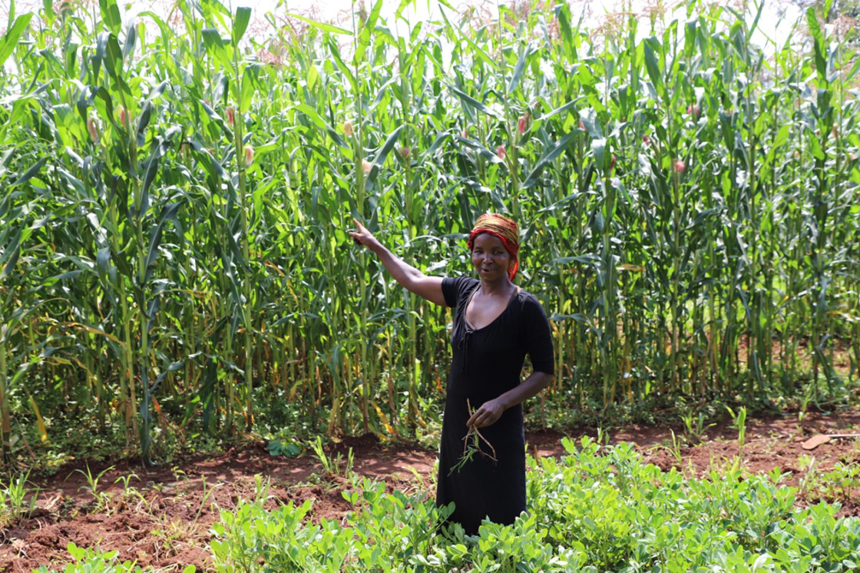 Agnes forme d’autres agriculteurs aux techniques qu’elle a apprises. Elle prévoit d’agrandir son potager pour produire plus de légumes et de maïs la saison prochaine.