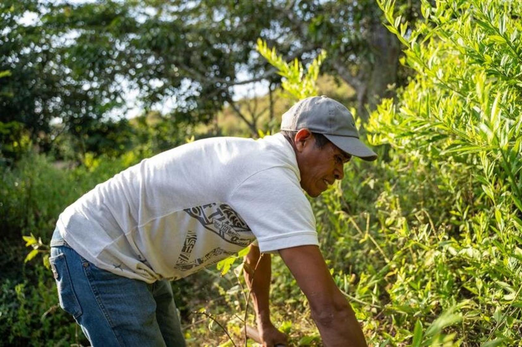 Hombre trabajando la tierra