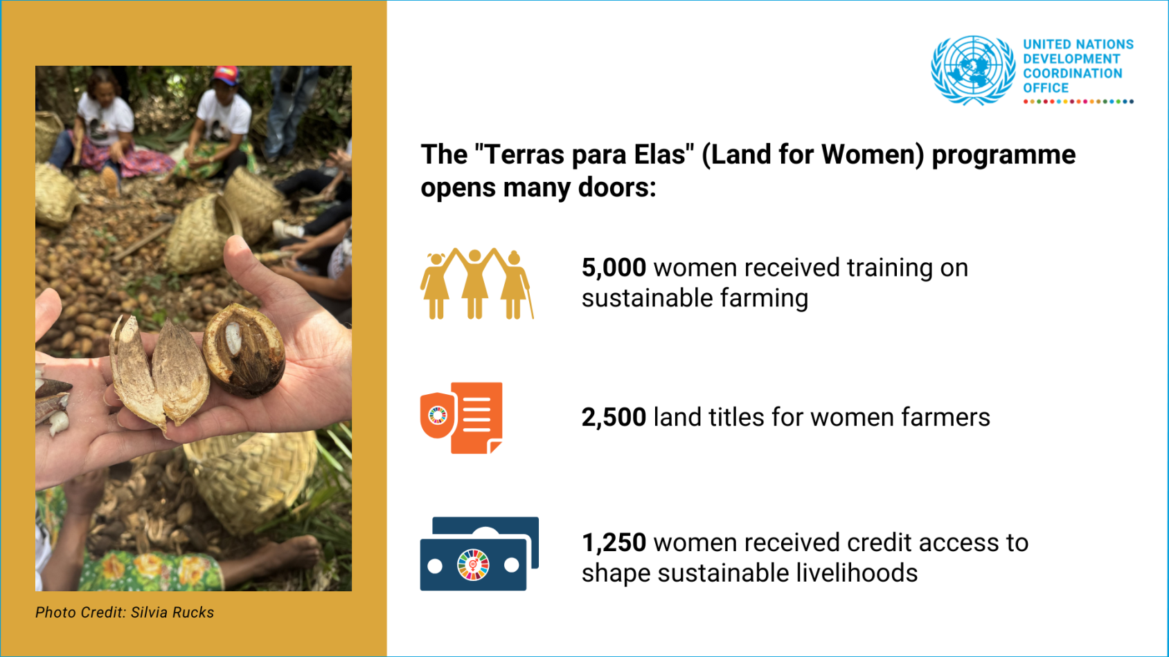 An infographic stating the results from the "land for women" programme 
