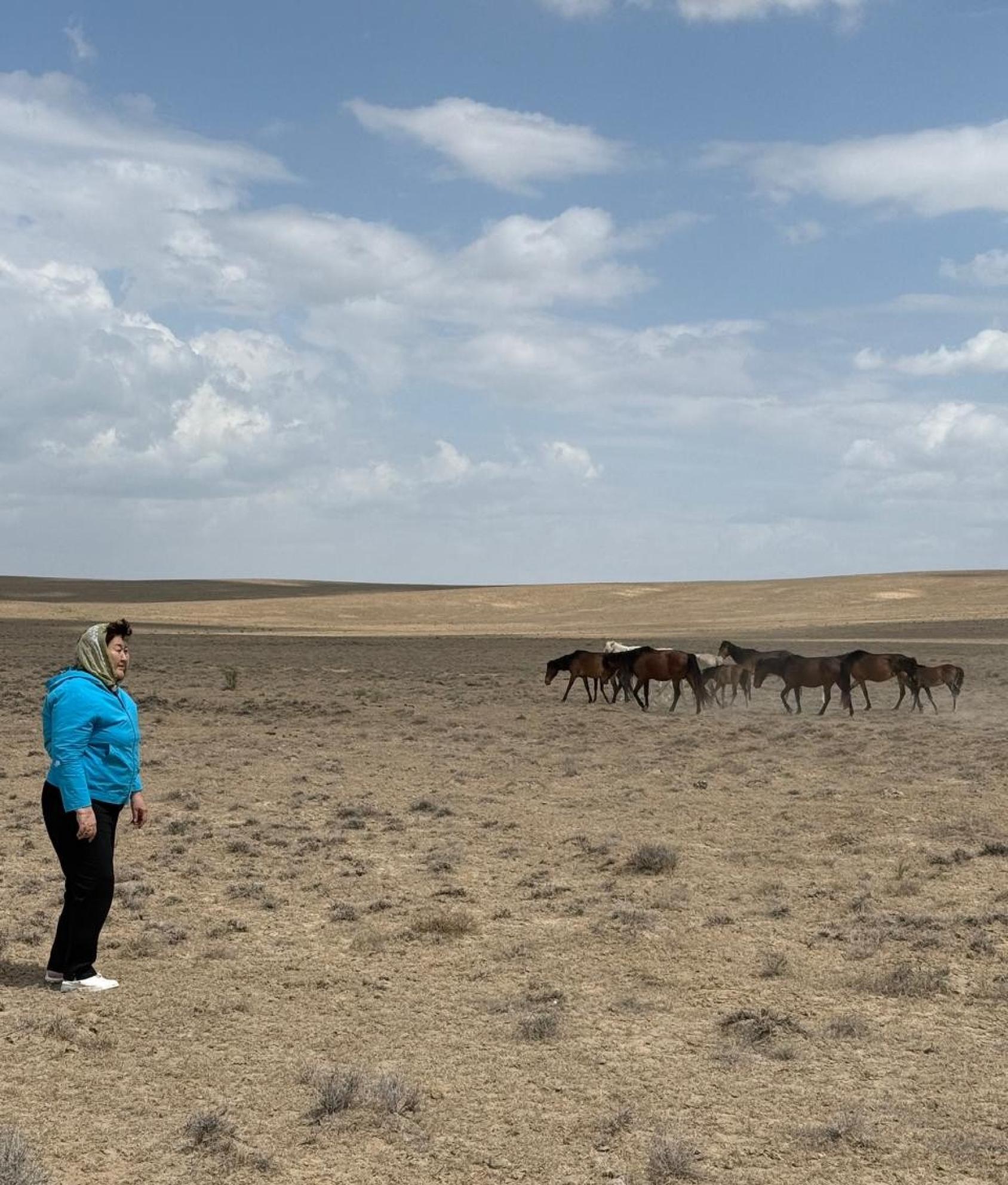 Женщина в степи смотрит на пасущихся лошадей