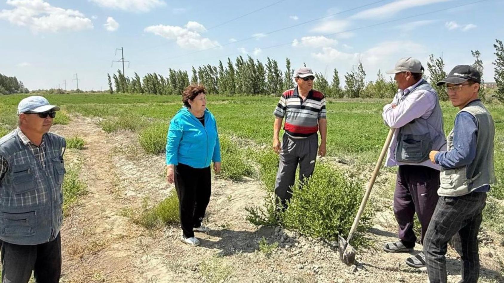 Группа фермеров