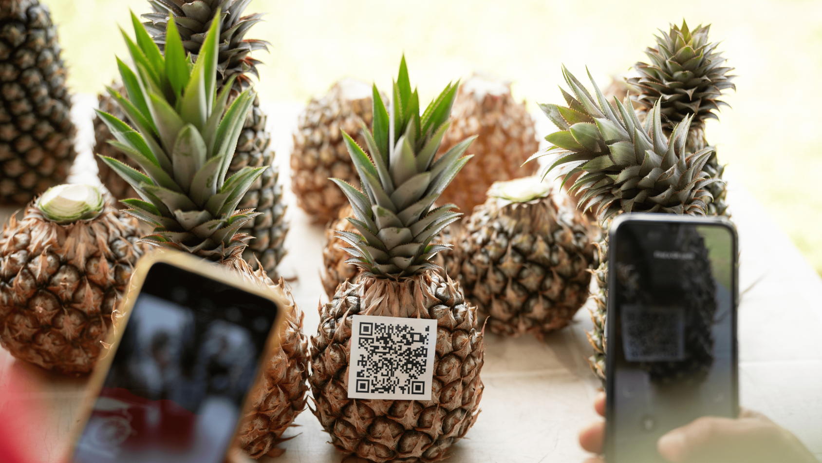 Pineapples with a QR code that is being scanned by a mobile phone