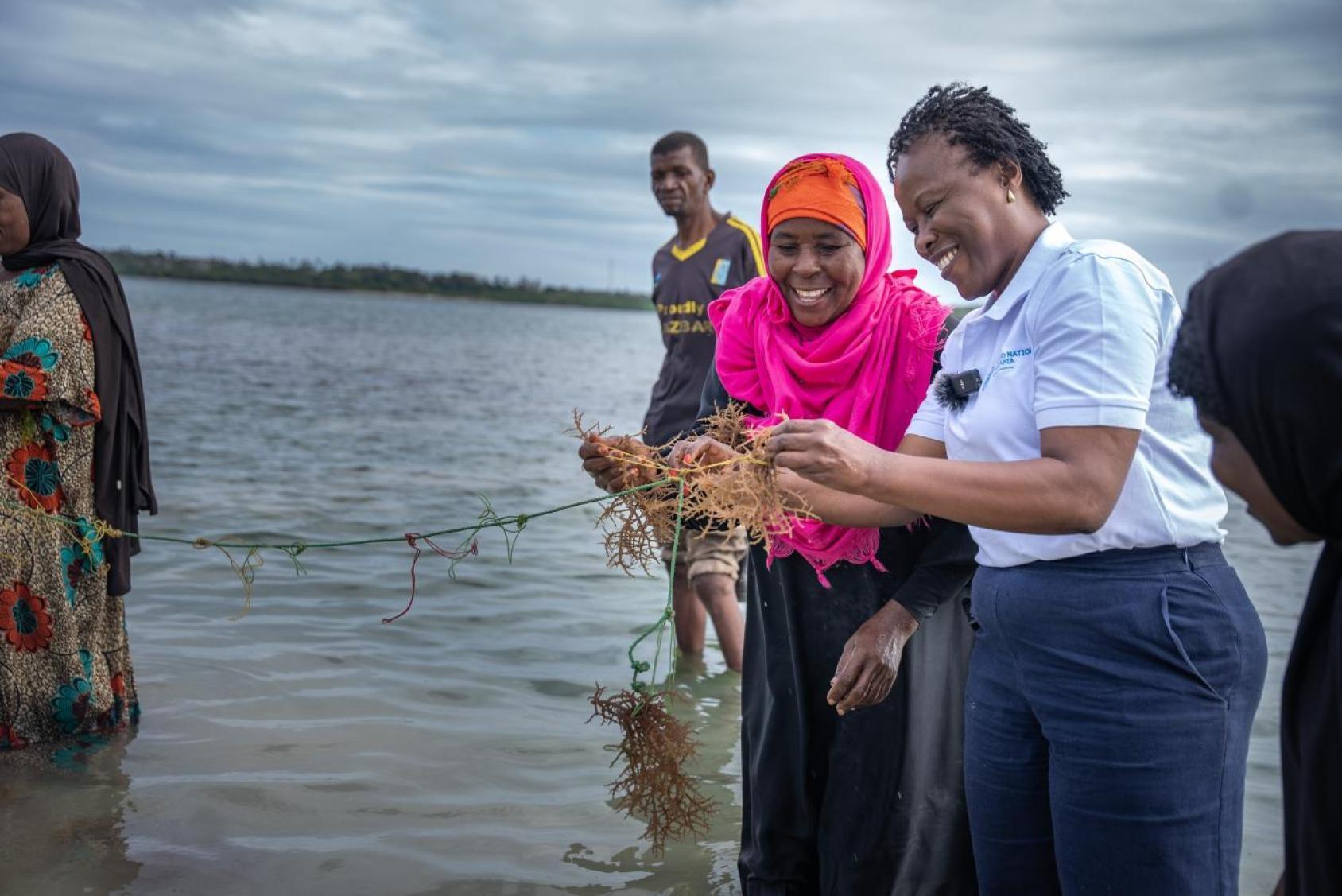 Through the Joint SDG Fund, the Resident Coordinator in Tanzania and four UN agencies are working together to strengthen value chains in seaweed farming in Zanzibar.