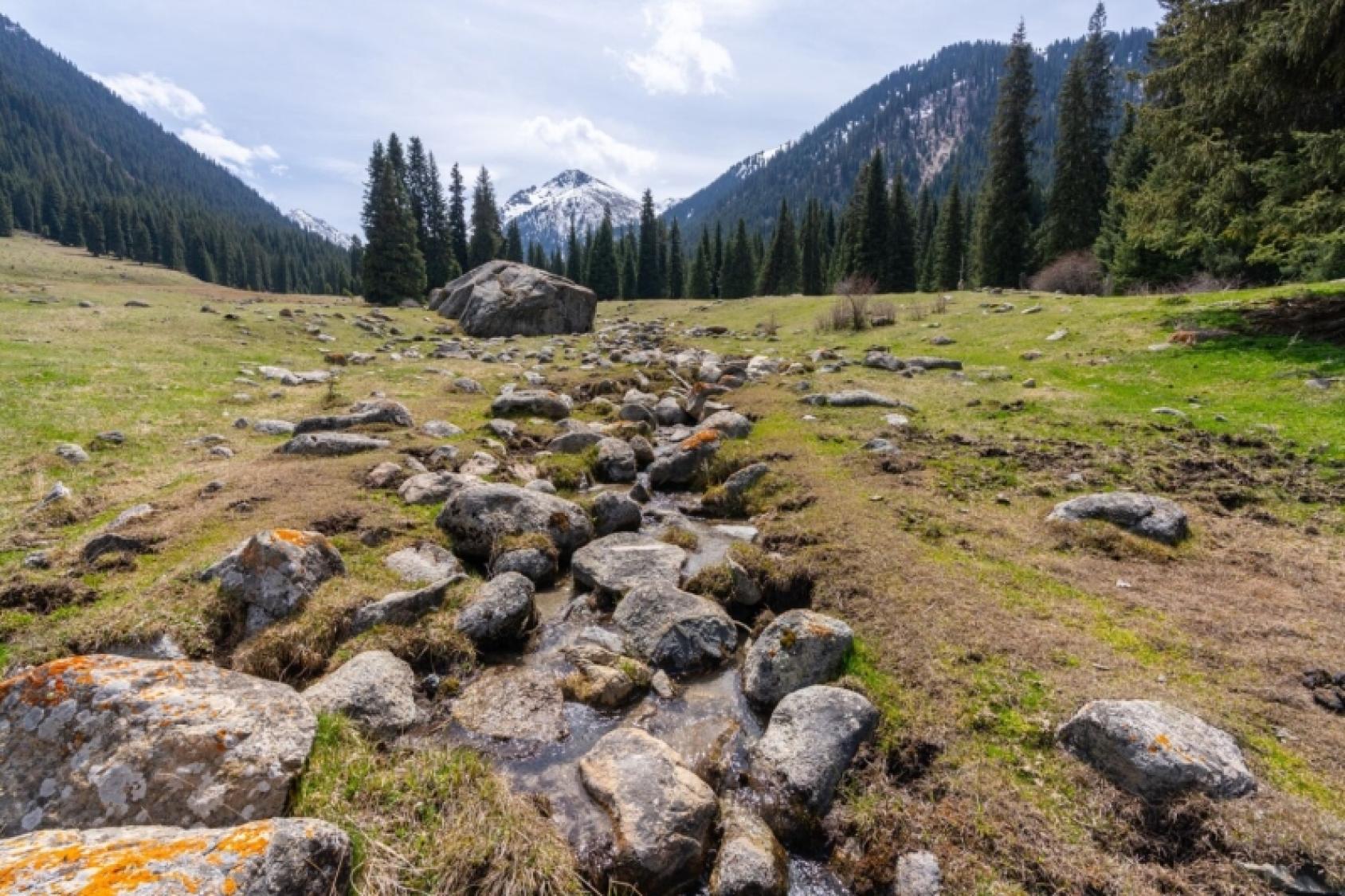 Широкоугольный вид на горную долину