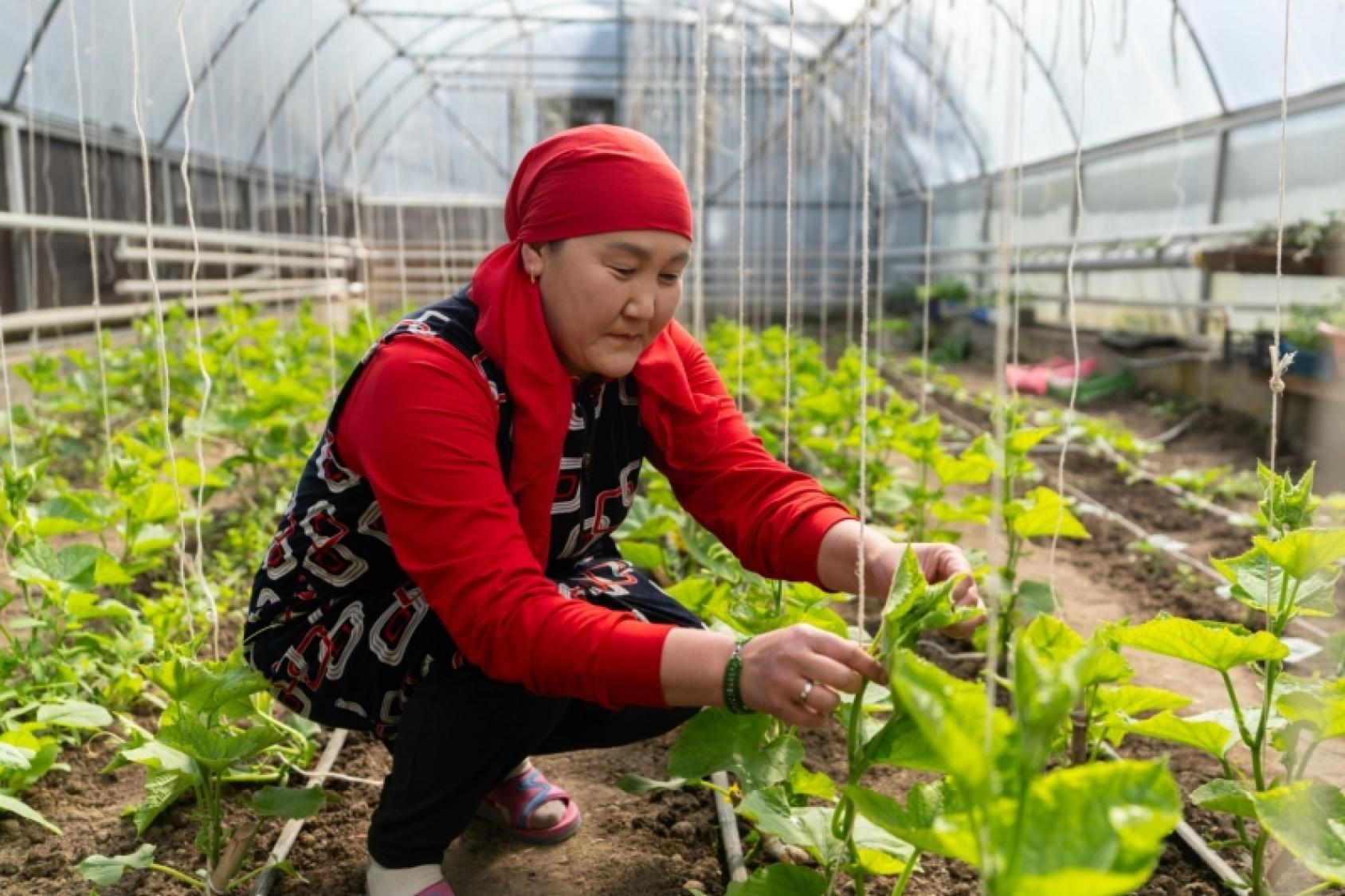Женщина сажает растения