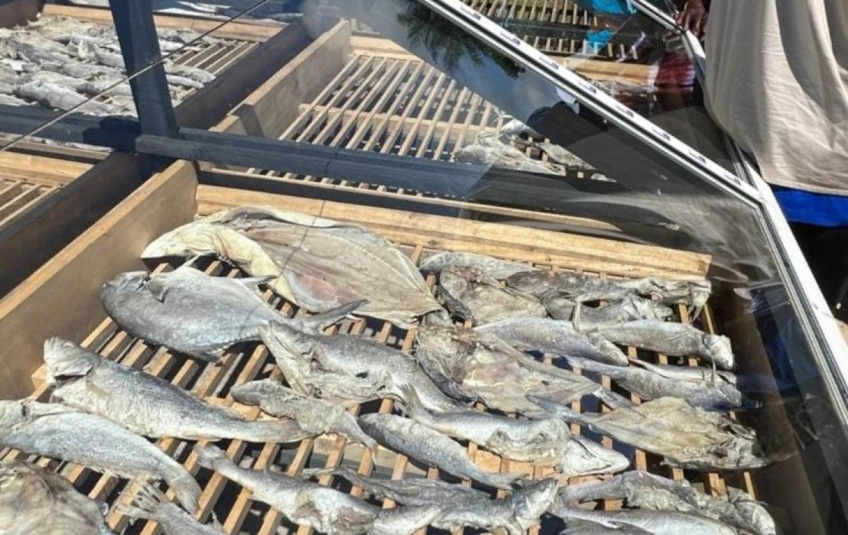 Les séchoirs solaires accélèrent la transformation des produits de la pêche artisanale et contribuent à accroître les ventes dans les villages voisins et au-delà.