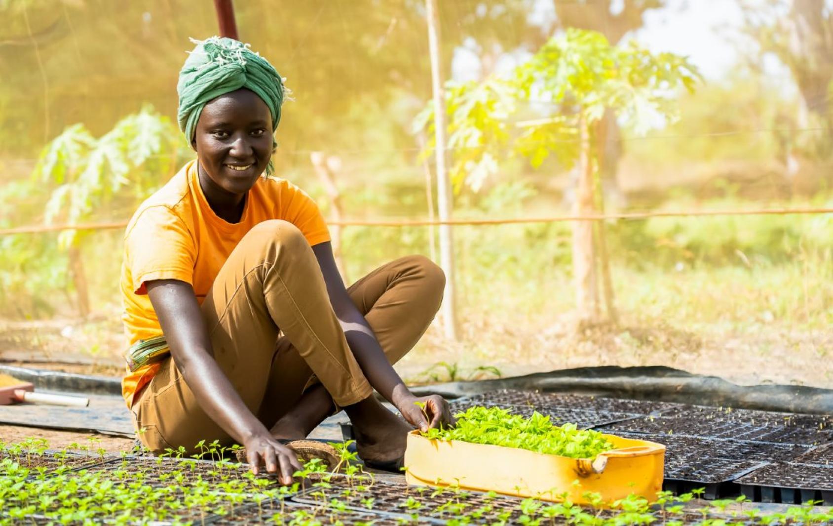 Au Sénégal, les femmes jouent un rôle majeur dans l'entrepreneuriat à petite échelle et pourraient grandement bénéficier de l'accès à l'énergie renouvelable. 