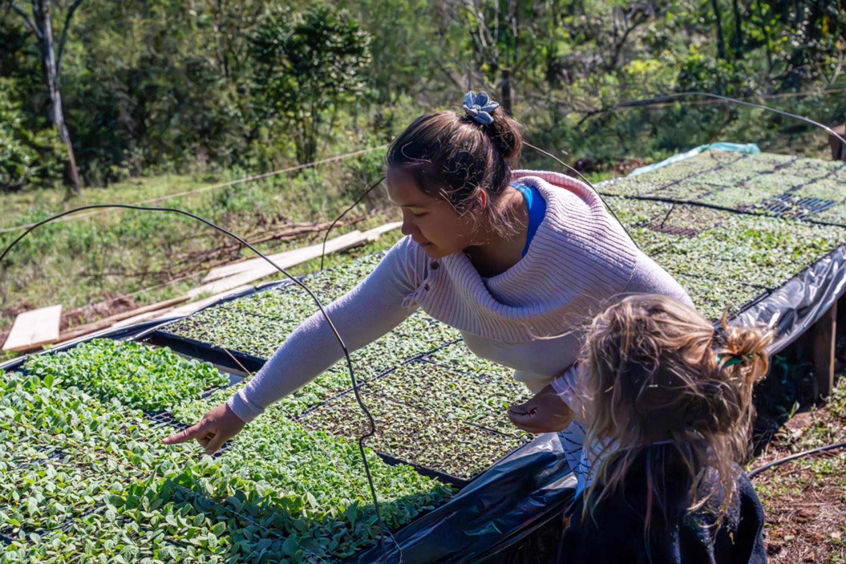 Девушки смотрят на ростки