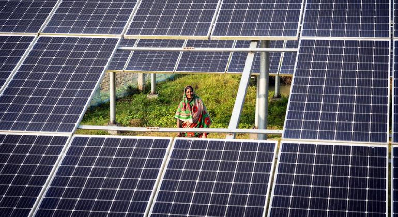 一位妇女站在一片太阳能光伏板当中的下方位置