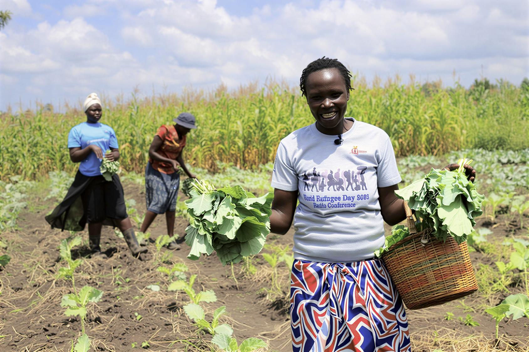 Two women and a man in Uganda harvest fresh vegetables.