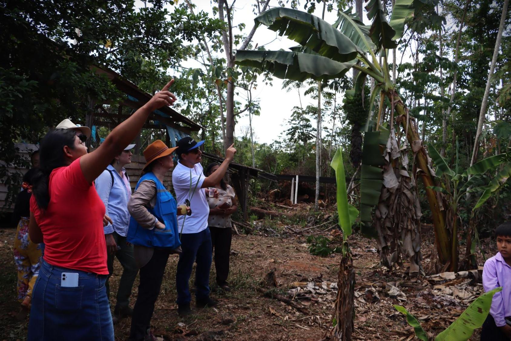 La comunidad muestra las plantaciones