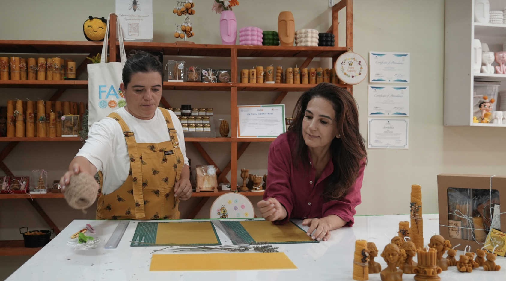 Training program result