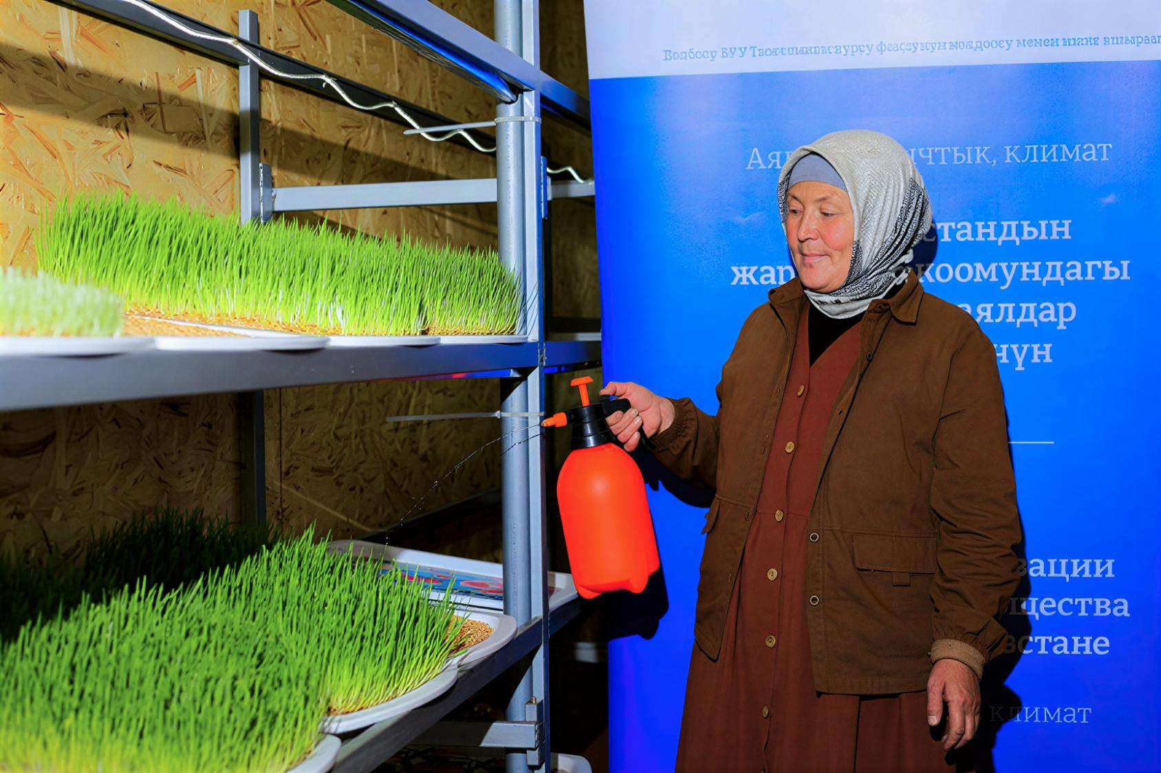 A woman in Kyrgyzstan waters her hydroponics trays.