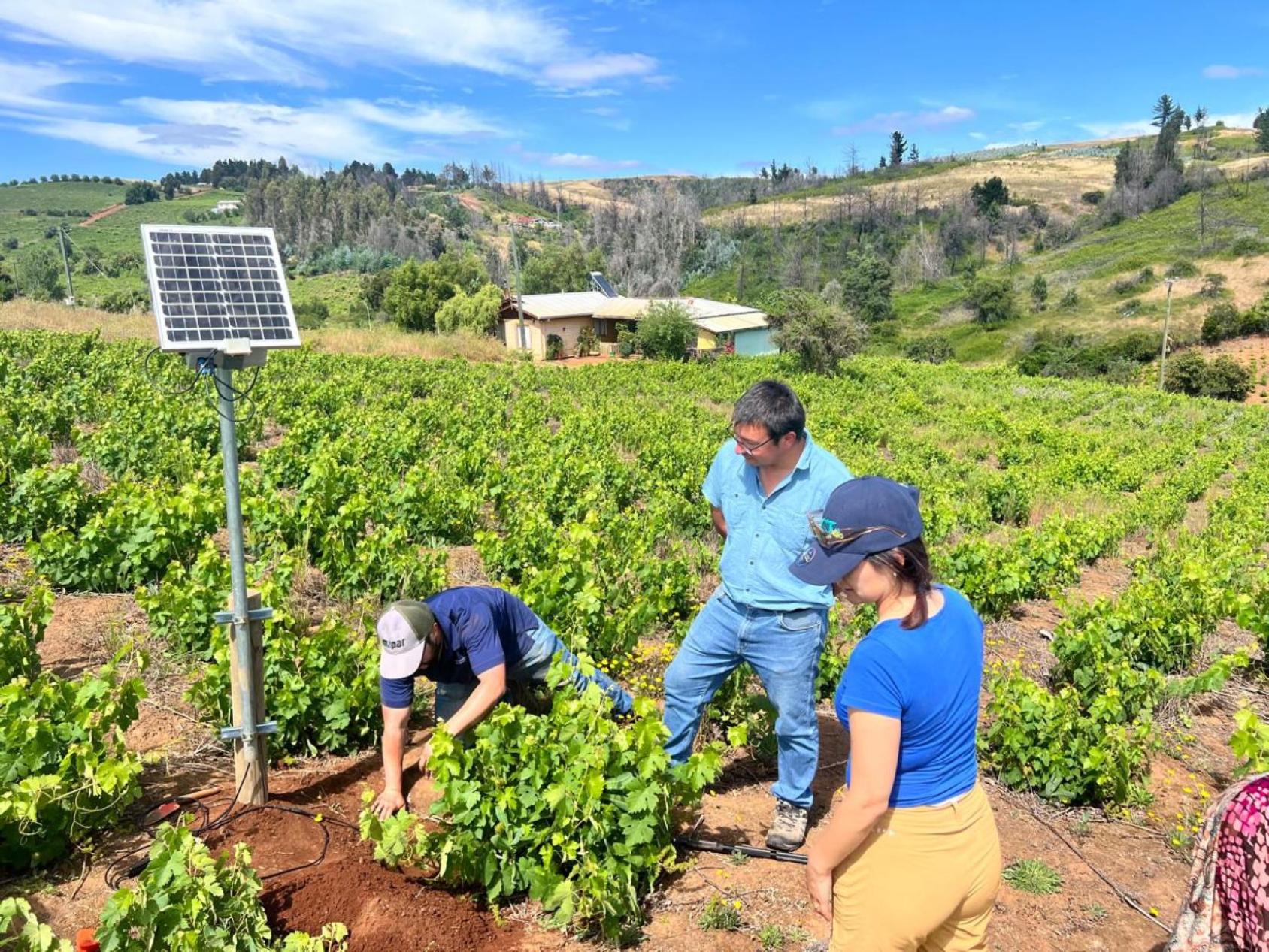 Personas haciendo instalación de equipo técnico. 