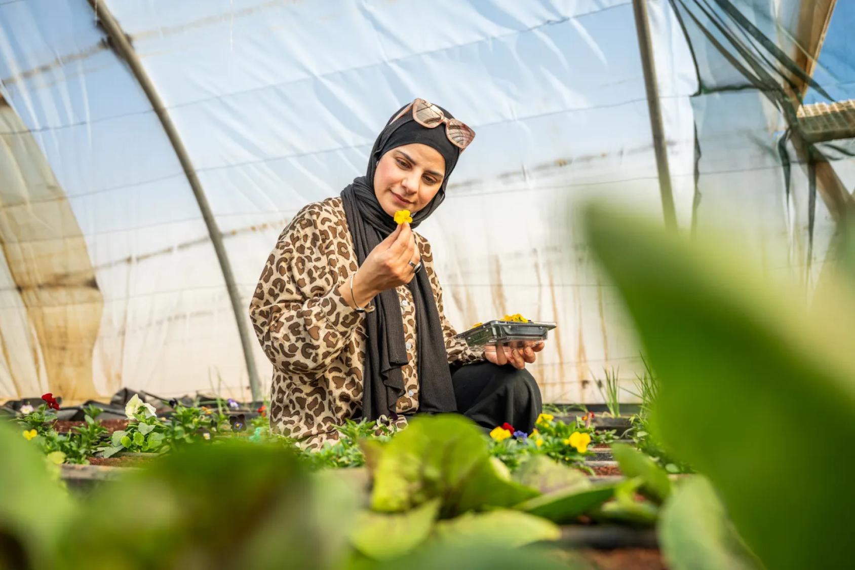 امرأة في الأردن تنظر إلى زهرة