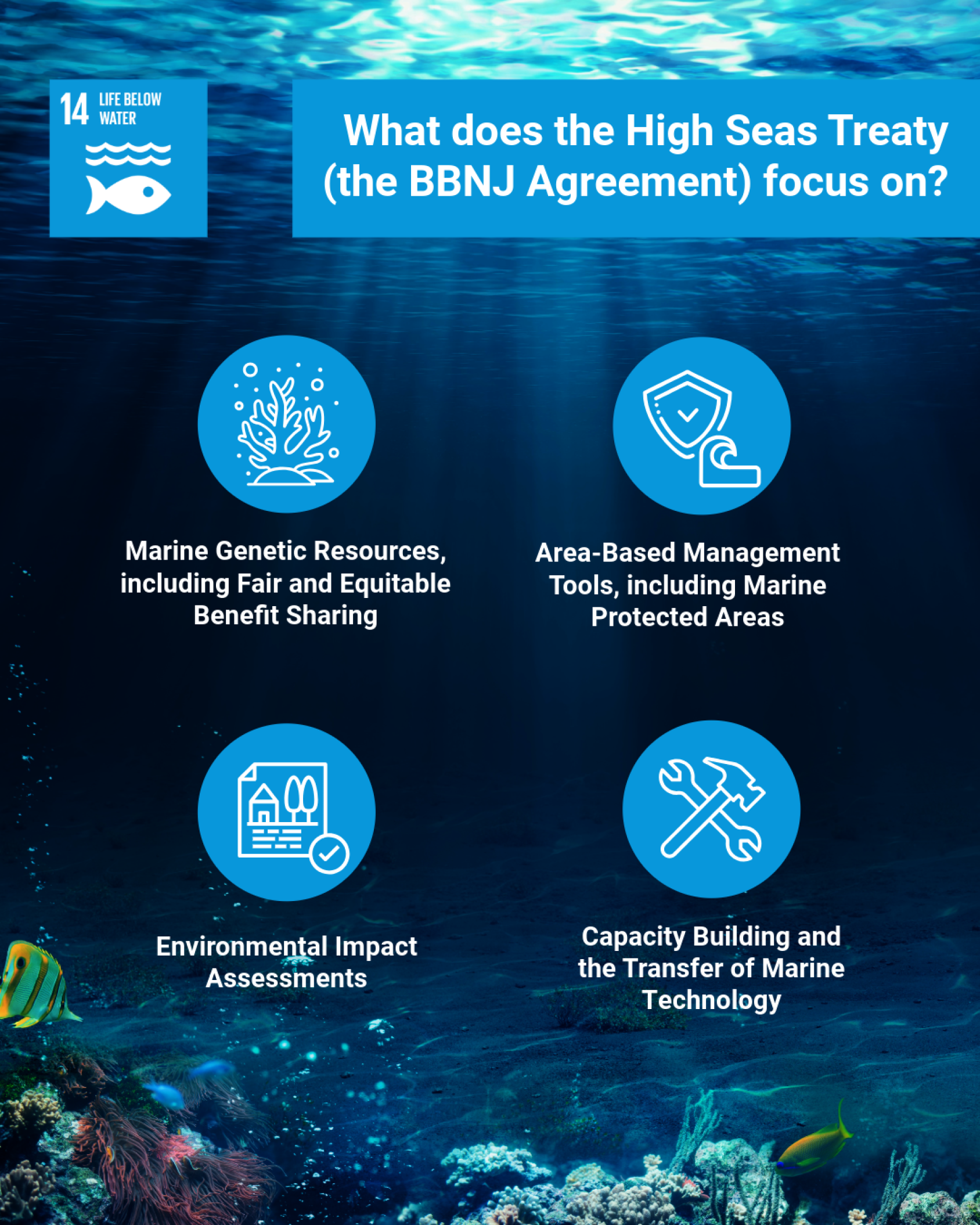 An infographic with four points about what the High Seas Treaty focuses on.