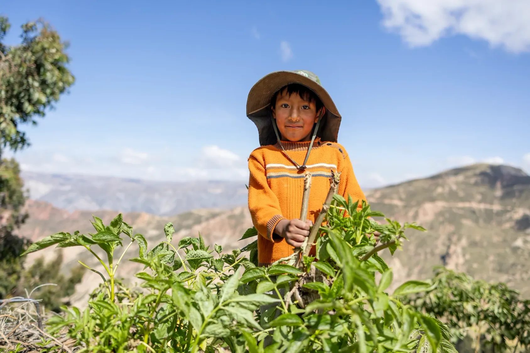 En Bolivie, le jeune innovateur Luís Guillermo Mallea Morales transforme les écoles de La Paz en jardins intelligents, pour renforcer la sécurité alimentaire et la résilience climatique.