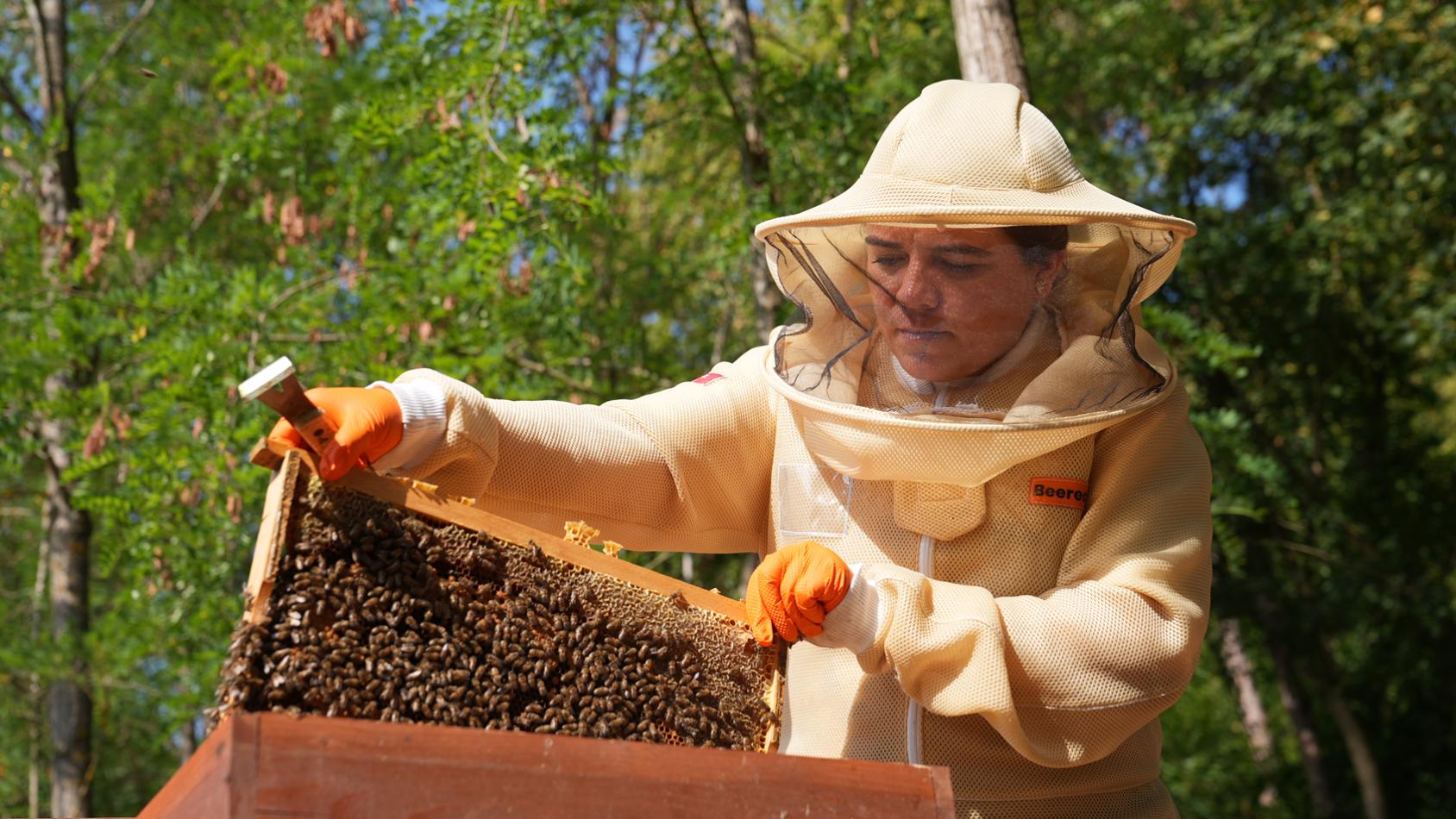 Mujer enseñando una colmena de abejas