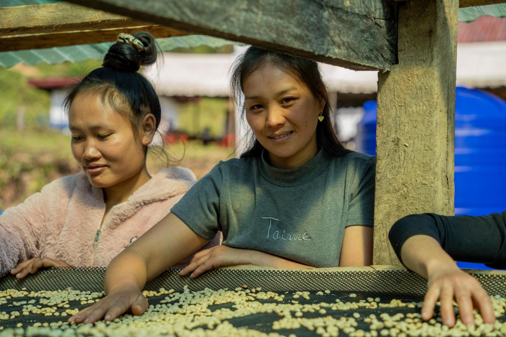 Two women farmers in Lao PDR process coffee beans.
