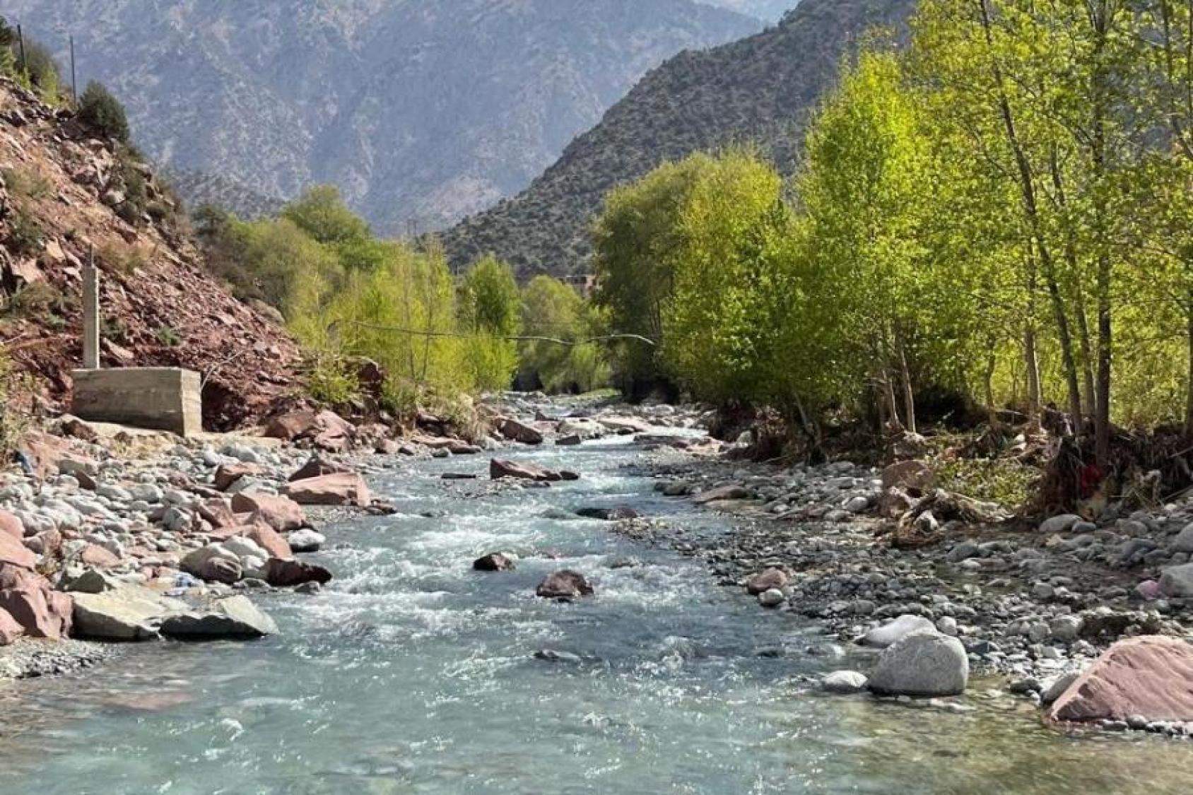 Dans le douar Aghbalou, au cœur de la vallée de l’Ourika, l’eau descend des montagnes et nourrit les terres agricoles depuis des générations. En amazigh, Aghbalou signifie « la source d’eau ». C’est ici que Zakia Majdouli a choisi de revenir après un parc