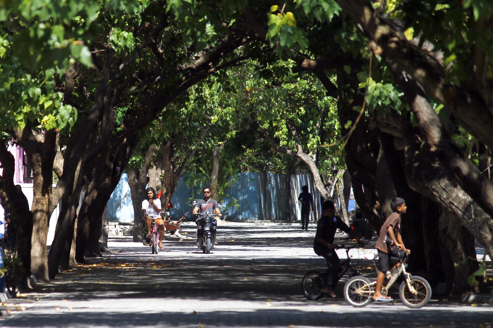 Locals in the Maldives bike down a tree-lined street.