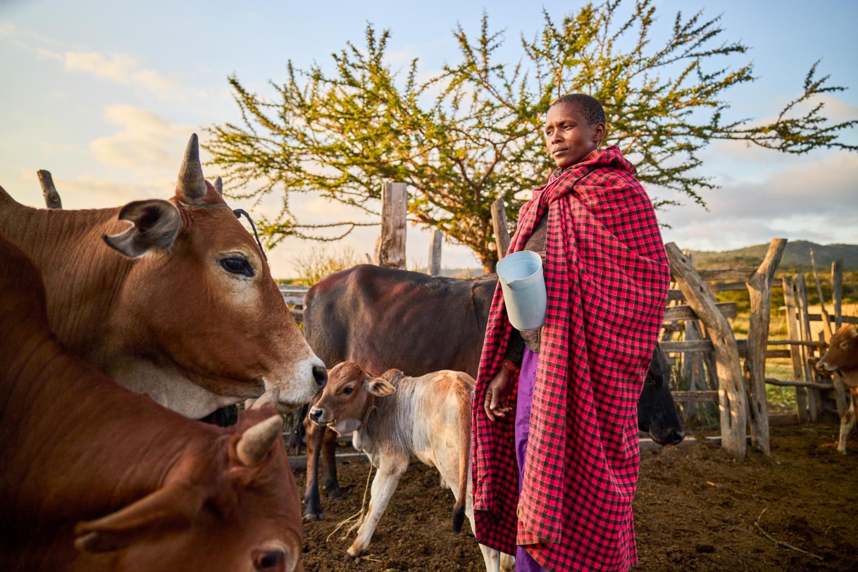 A female farmer in Kenya with her cattle.