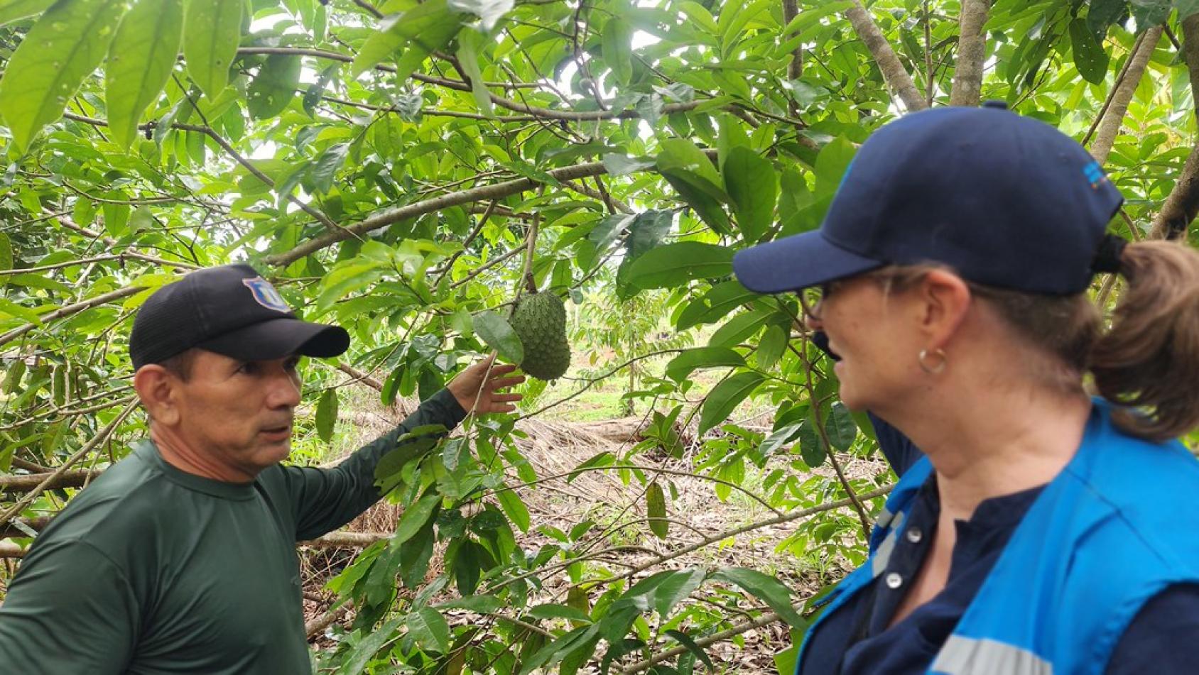 A man in the Bolivian Amazon shows a tree to a UN employee.