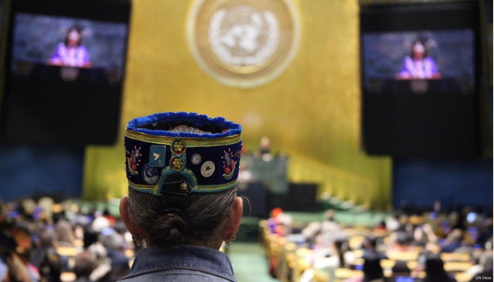 رجل من السكان الأصليين في الأمم المتحدة.