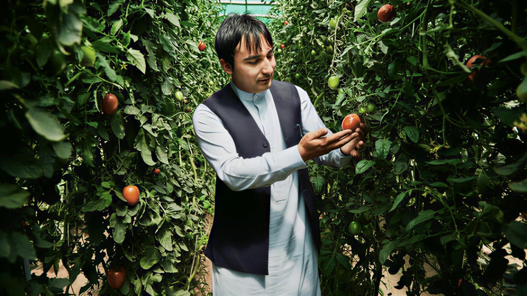 A man in Bangladesh walks in his apple orchard.