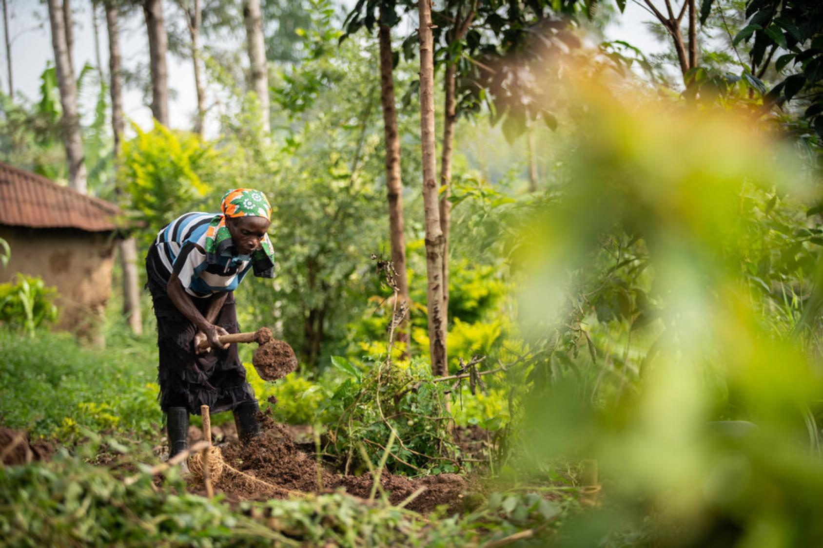 A female farmer in Kenya works in her field.