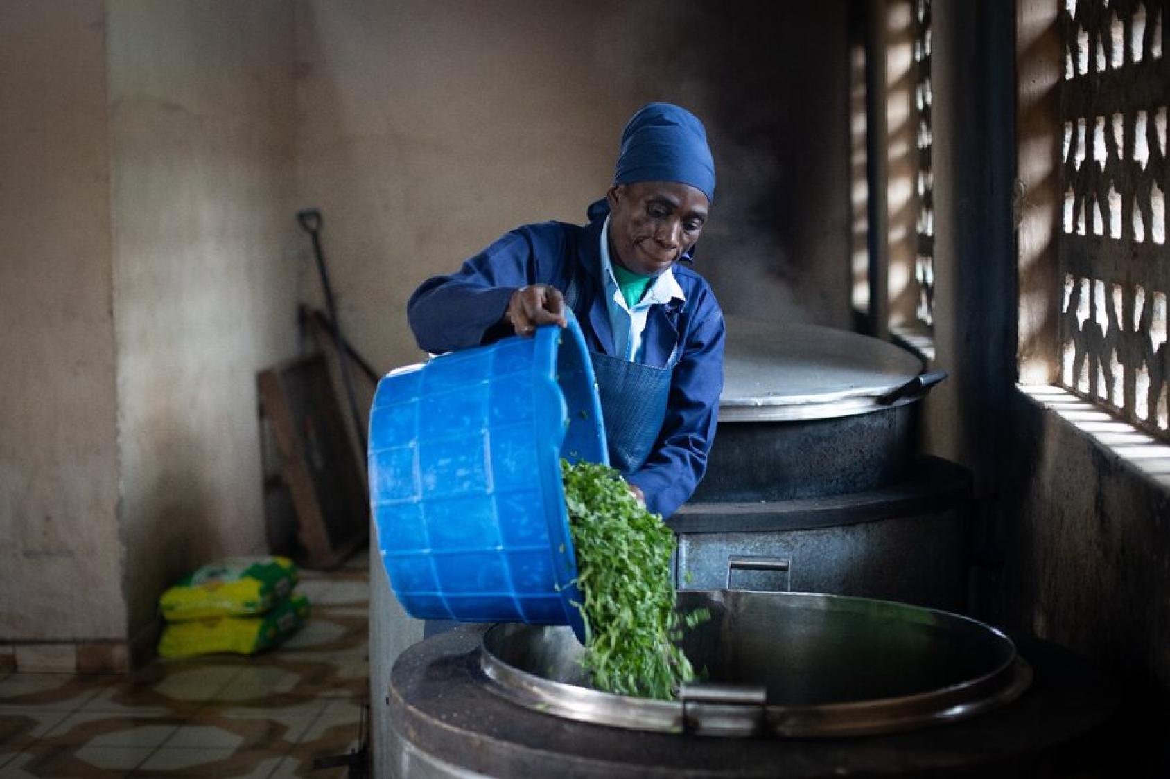 A school cook in Kenya prepares the school meal for students.