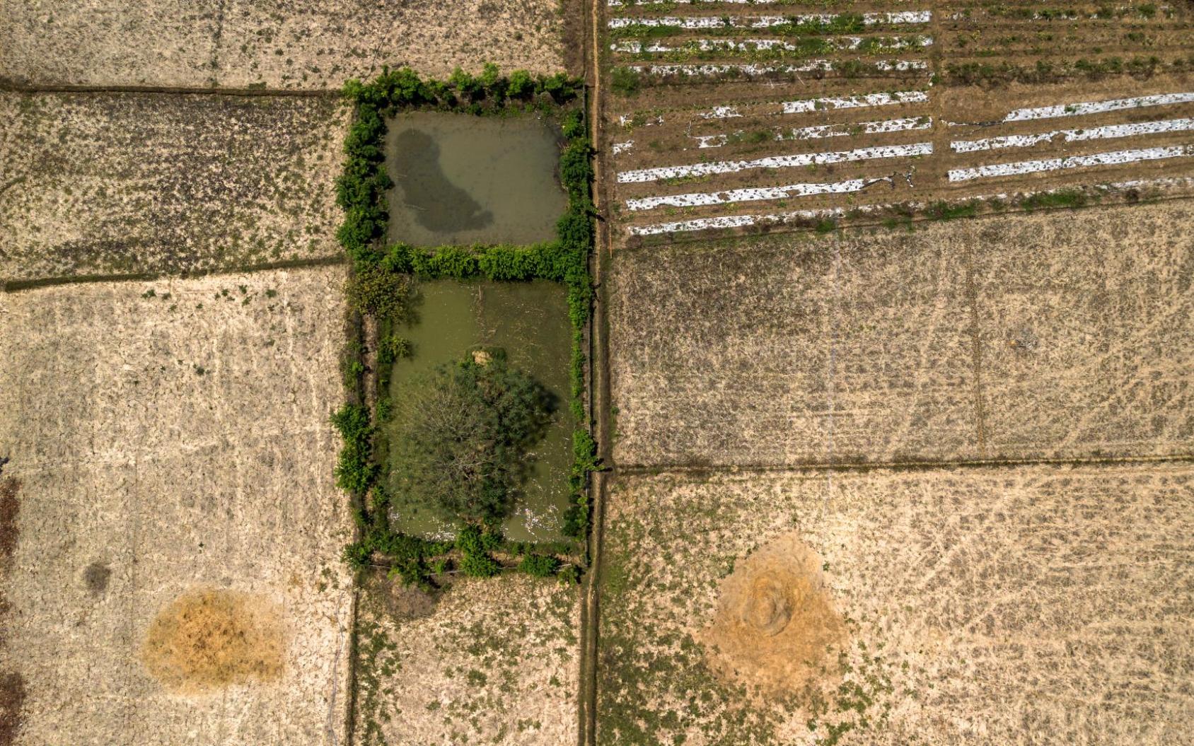 An aerial shot of a farm in the Philippines.