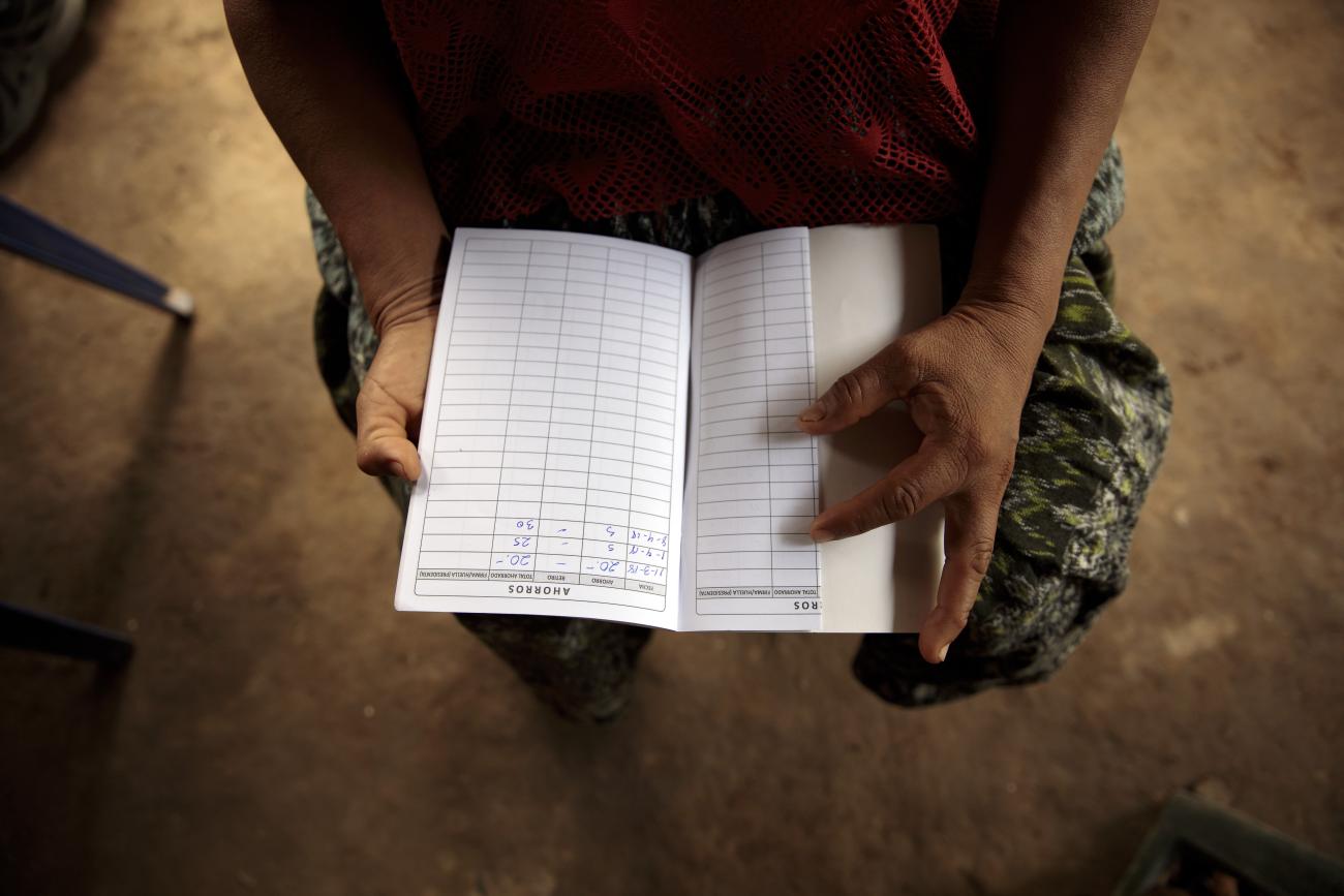 Financing section banner showing woman holding accounts book