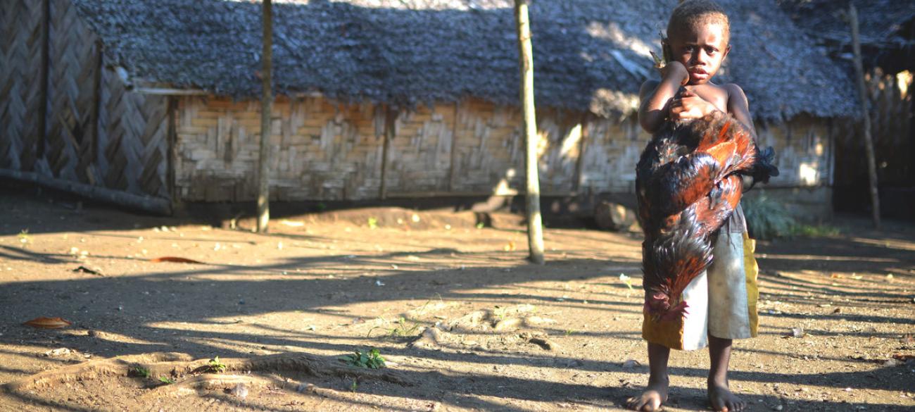  A young boy holds a chicken in Taremb, Malekula Island, Vanuatu.