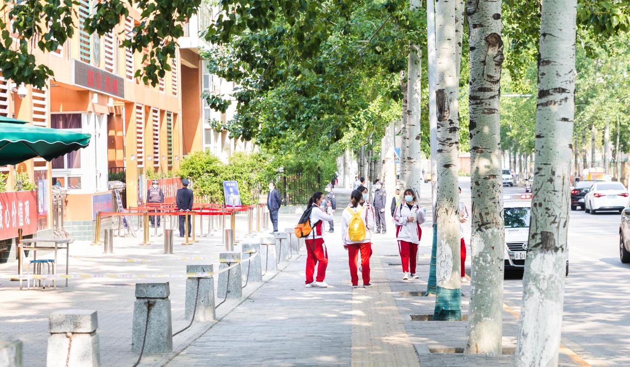 Niños en edad escolar se paran juntos fuera de una escuela, bajo árboles verdes.