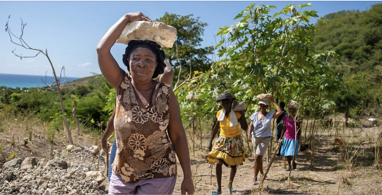 En Haïti, au pied d’une colline, des femmes marchent les unes derrière les autres en tenant une pierre sur la tête.