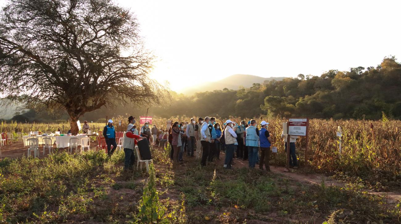 Un grupo de personas con mascarillas y hace fila en un área verde para visitar el centro de formación de demostración en la comunidad de Arenal, en Bolivia.