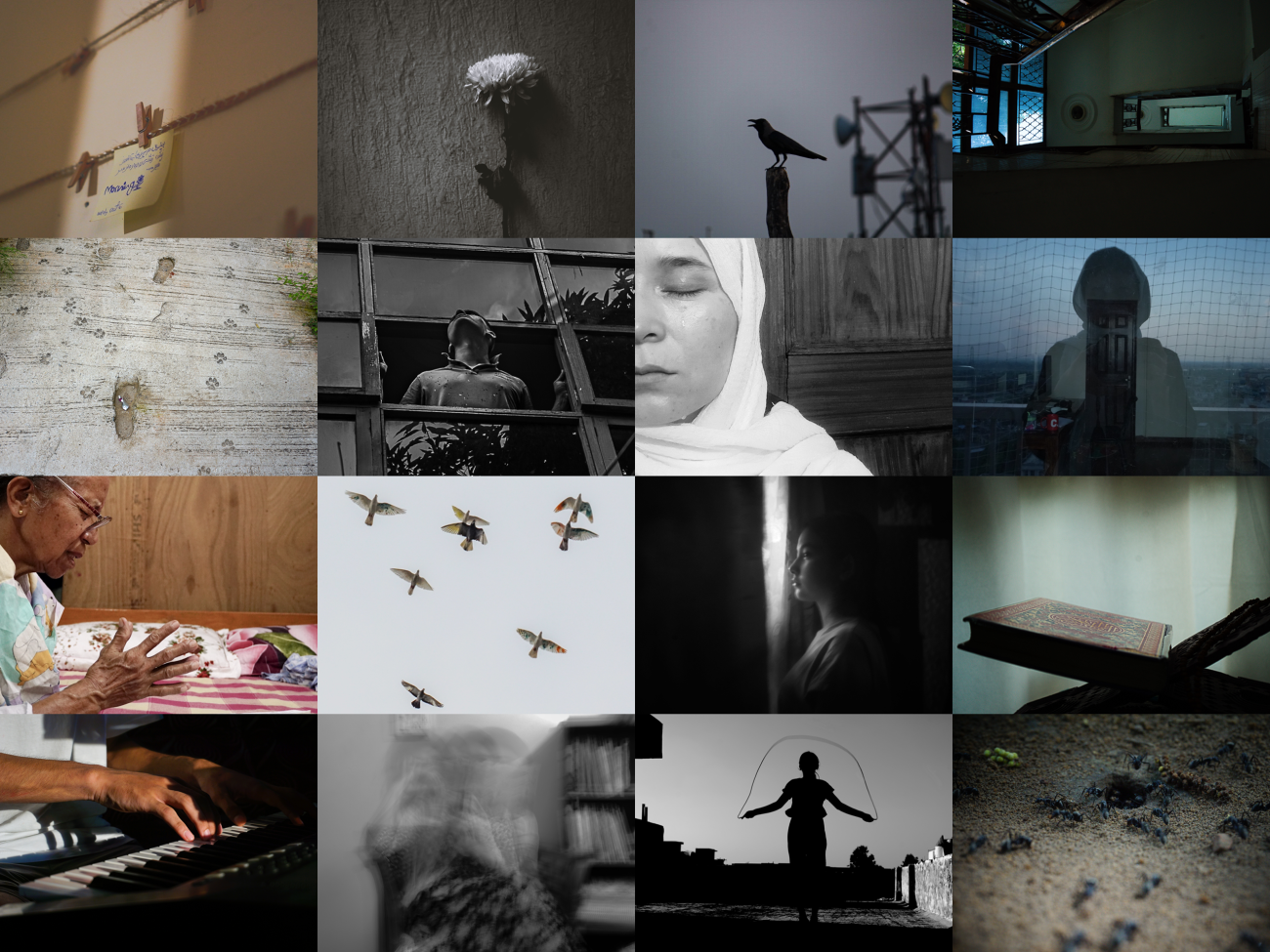 مجموعة صور لـ8 لاجئين في البرنامج الإرشادي التابع لمفوضية الأمم المتحدة السامية لشؤون اللاجئين في الهند.