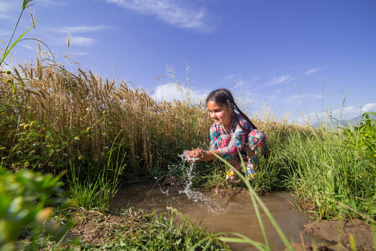 فتاة صغيرة تغسل يديها في جدول.