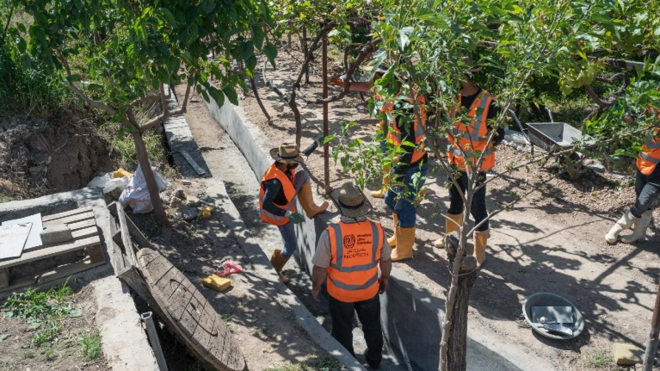 يتم تنفيذ برنامج الاستثمار المكثف للعمالة في إحدى المزارع في دهوك.