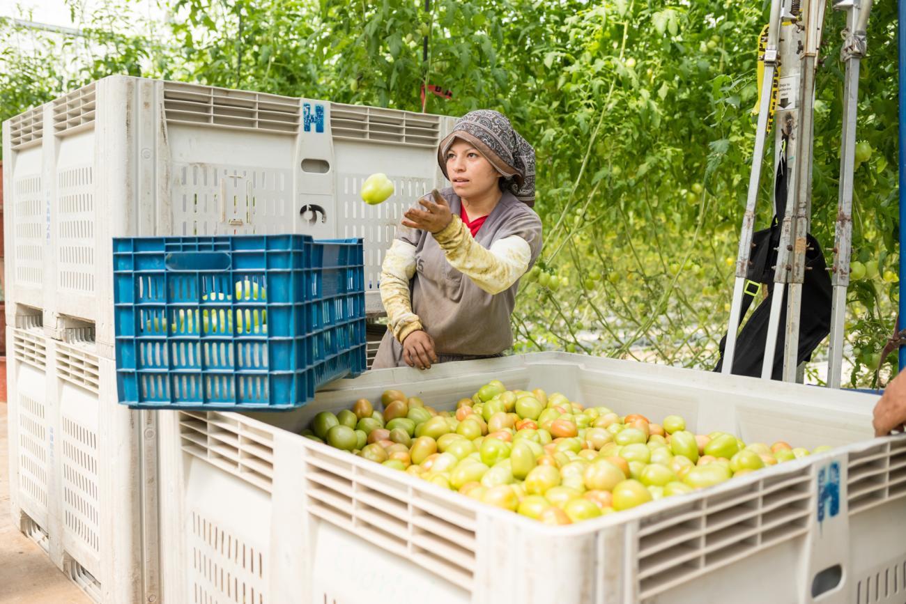 Woman worker in Mexico