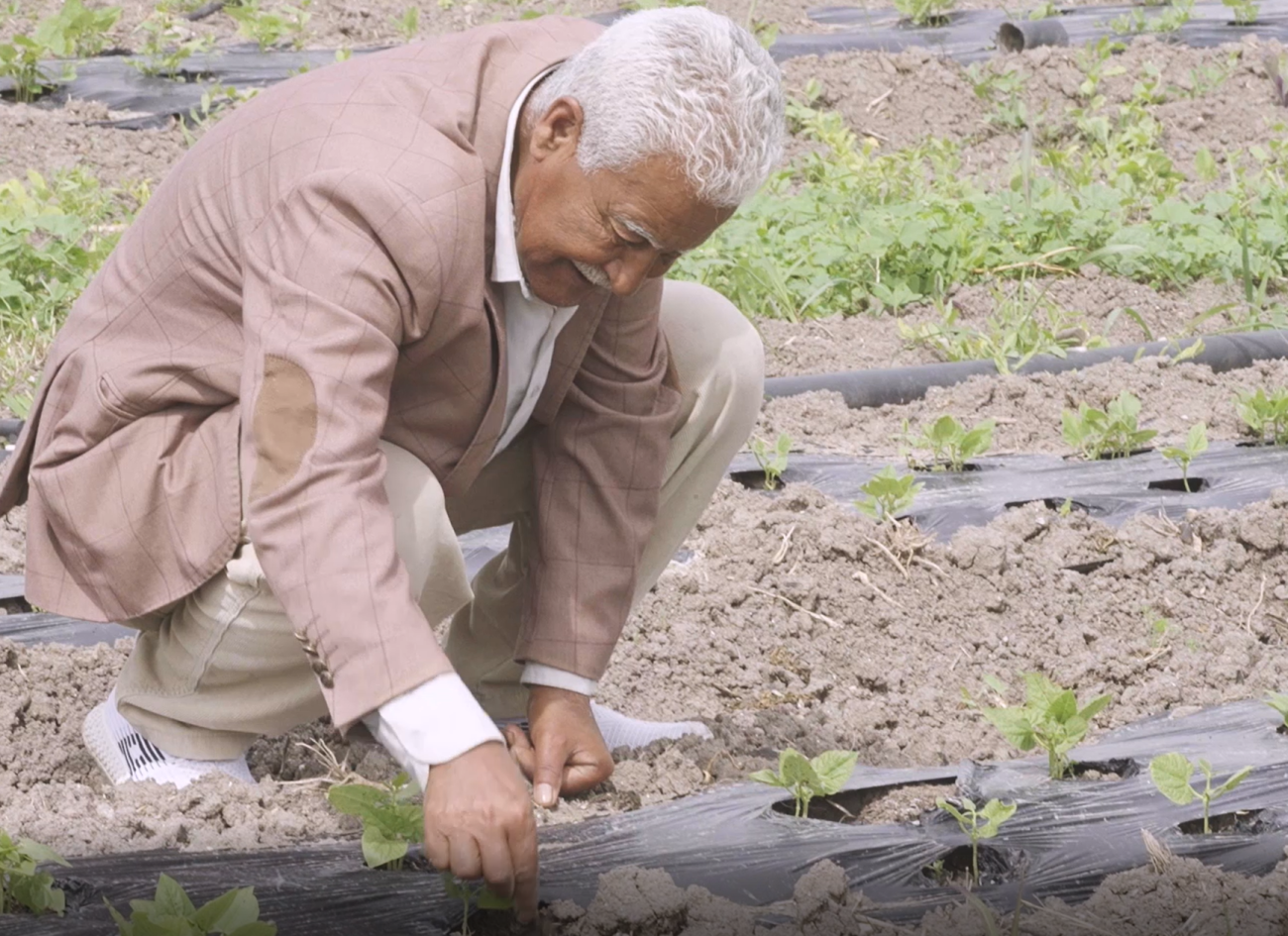 Man in a brown shirt and pant kneeling in a farm with green plants at his feet