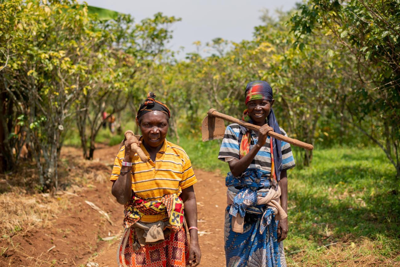 Photo : ©FAO/Albert Wilbert