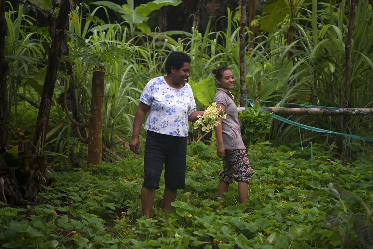 Two people stand in the midst of a forest