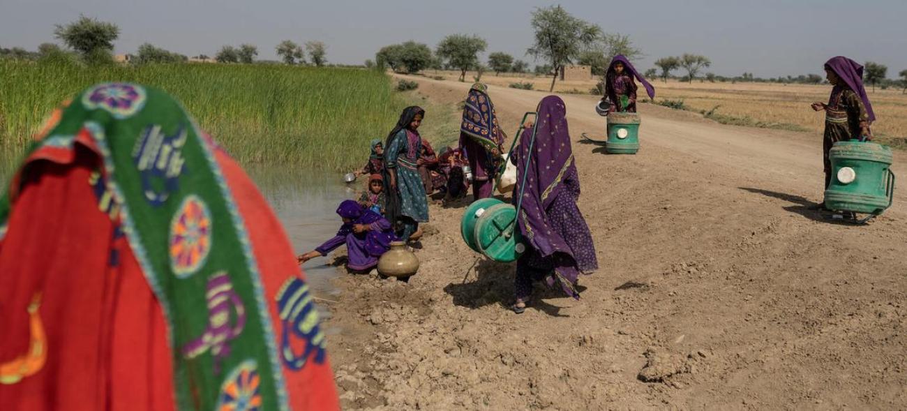 在巴基斯坦南旁遮普邦，年轻女孩和妇女在一个受污染的水塘附近取水。    