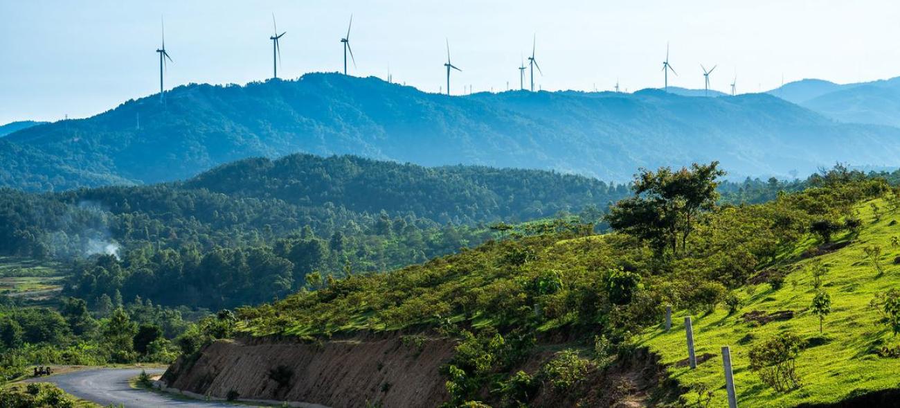 Ветряные электростанции во Вьетнаме.