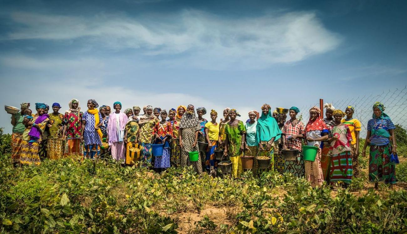 A group of people in Mali gathered in a farm