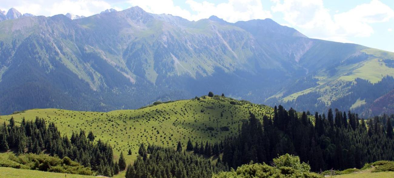 Фотография зеленых гор на фоне голубого неба