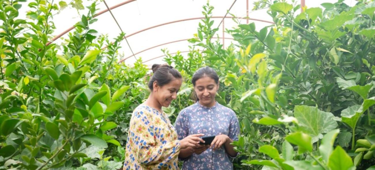 Две молодые женщины стоят в теплице и изучают показатели электронного датчика