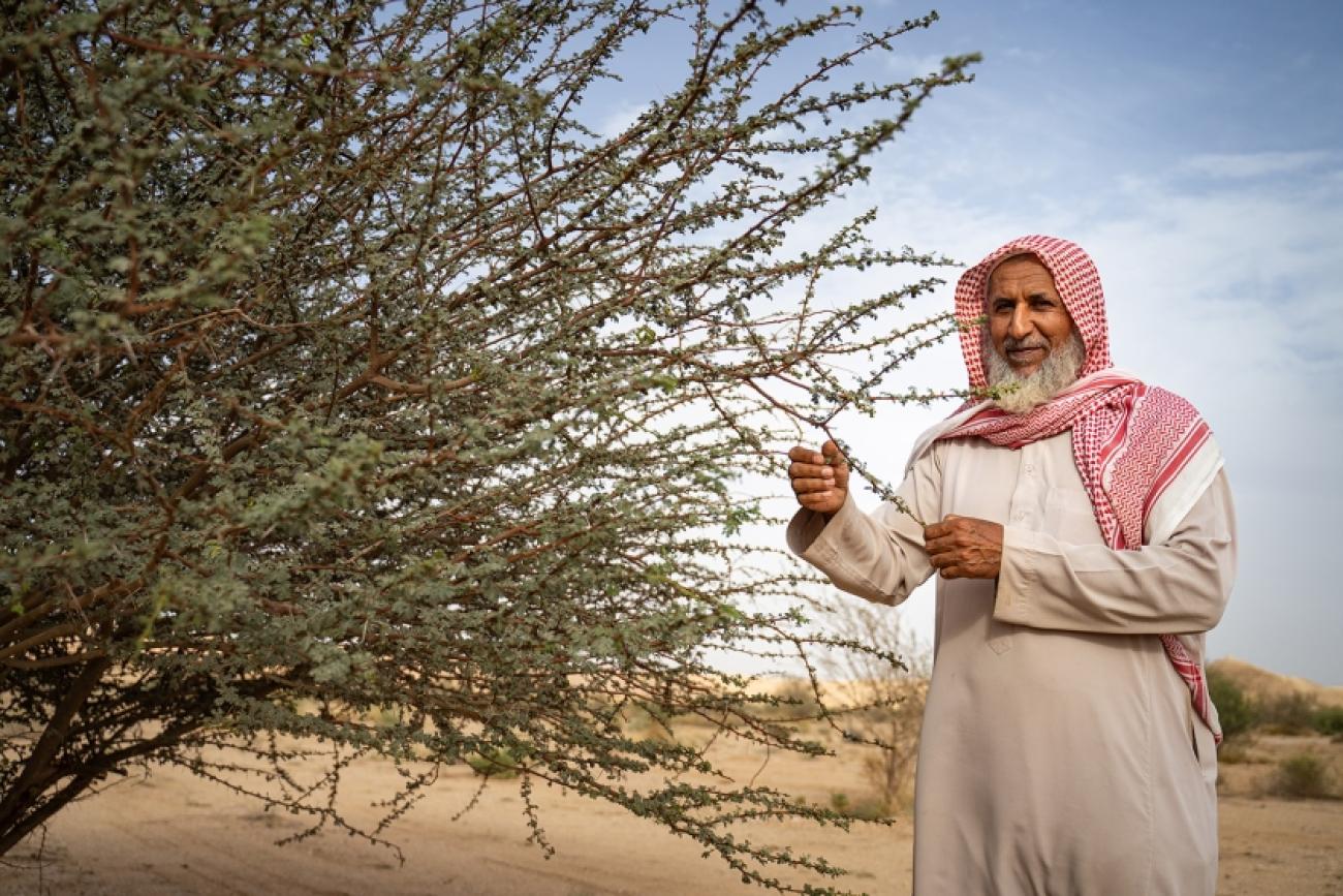 A man in a white dress and red headscarf holds the twigs of a dry desert plant in his hands.